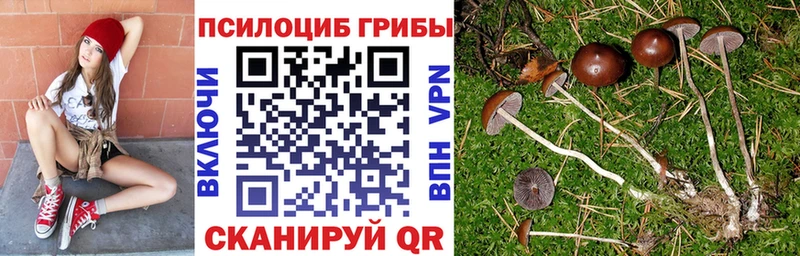 Галлюциногенные грибы мицелий  наркота  Мензелинск 