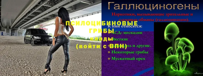 Галлюциногенные грибы мухоморы  Мензелинск 